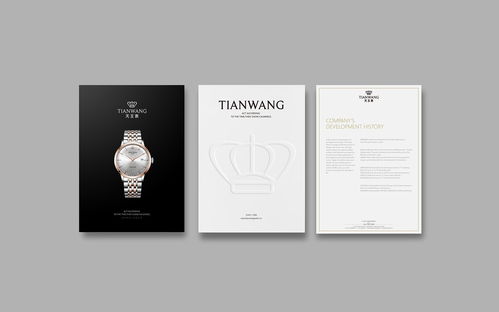 手表包装与VI设计 彰显品牌魅力的艺术